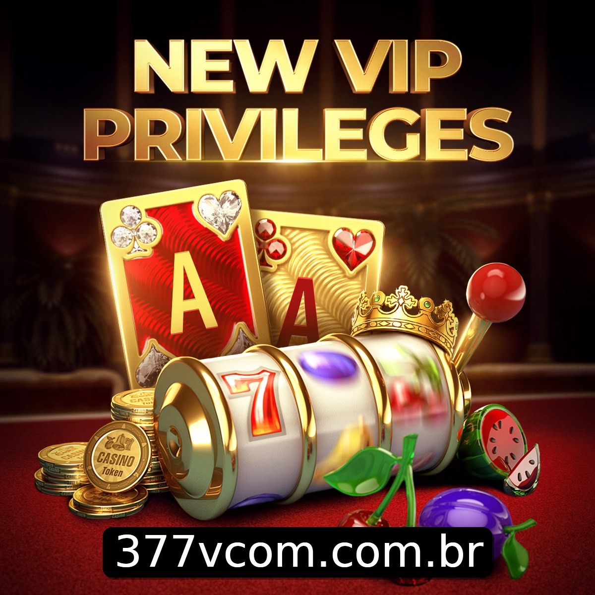 Programa VIP 377v